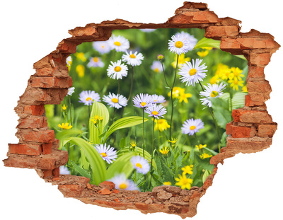 Wandtattoos Loch Ein Blumenparadies hinter der Mauer