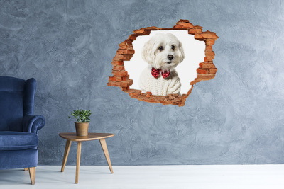 Wandtattoos Loch in der Wand Hund im Pullover durch ein Loch in der Wand