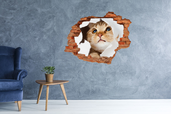 3D Loch Aufkleber Katze durch ein Loch in der Wand