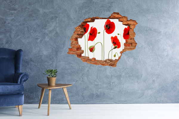 Wandbilder 3D Mauerdurchbruch Mohnblumen in einem Loch in der Wand