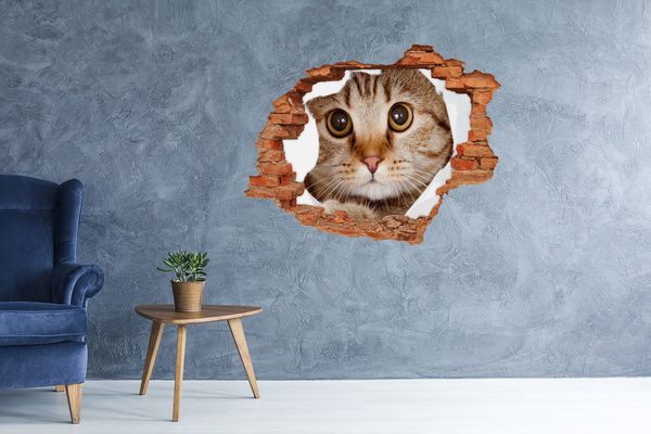 3D Loch Aufkleber Die Katze hinter dem Loch in der Wand
