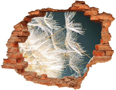 Wandtattoos Loch Hinter dem Loch erstreckt sich eine Blumenlandschaft.