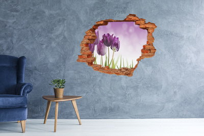 3D Loch Aufkleber Blumen in einem Loch in der Wand