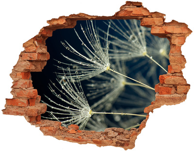 Wandbilder 3D Mauerdurchbruch Löwenzahnblüten im Wasser