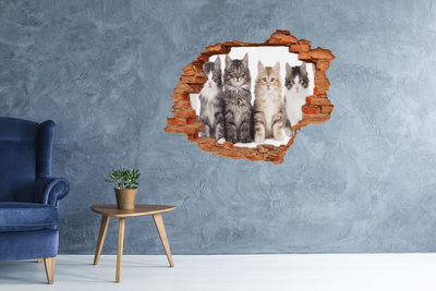 Wandbilder 3D Mauerdurchbruch Katzen in einem Loch in der Wand