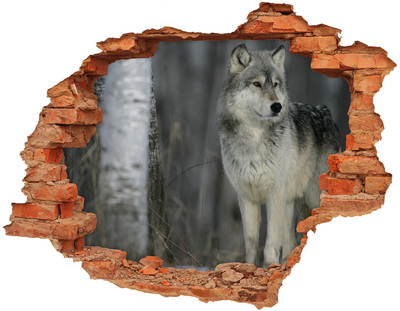 3D Loch Aufkleber Wolf in seinem natürlichen Lebensraum