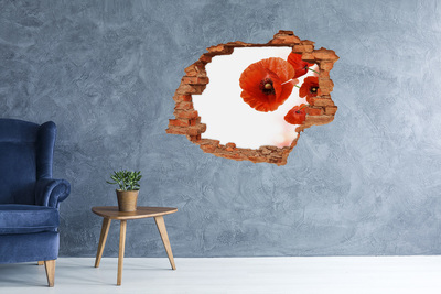 3D Loch Aufkleber Mohnblumen in einem Loch in der Wand