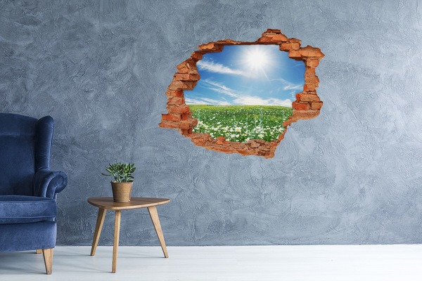 Wandbilder 3D Mauerdurchbruch Eine Blumenwiese unter blauem Himmel