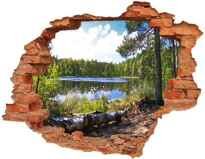 3D Loch Aufkleber Grüner Wald am See