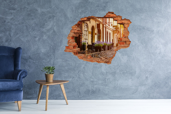 Wandtattoos 3D Optik Loch Eine bezaubernde Ecke mit Lavendel