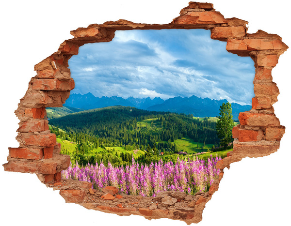 Wandbilder 3D Mauerdurchbruch Berglandschaft mit Blumen