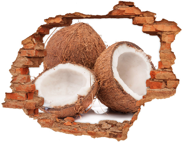 Wandbilder 3D Mauerdurchbruch Kokosnuss-Schätze