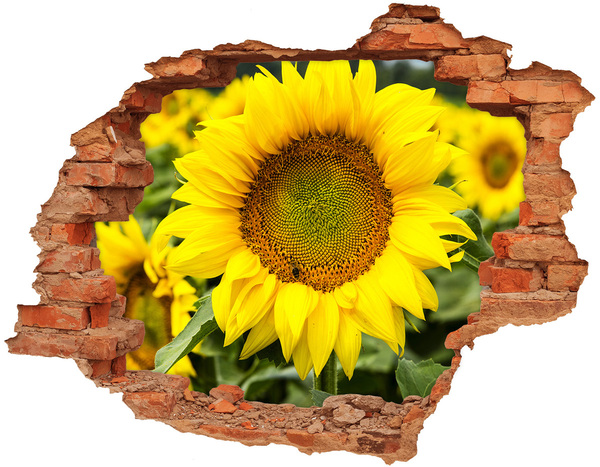 Wandbilder 3D Mauerdurchbruch Sonnenblume aus Beton