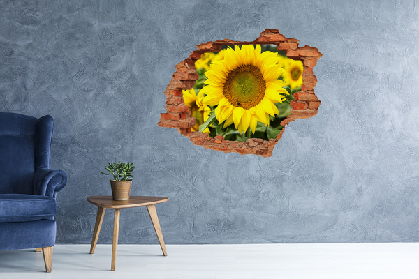 Wandbilder 3D Mauerdurchbruch Sonnenblume aus Beton