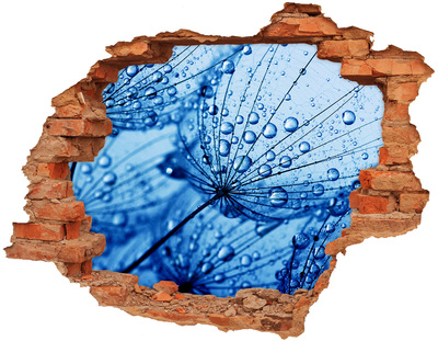 Wandtattoos 3D Optik Loch Wassertropfen auf einer zarten Blüte