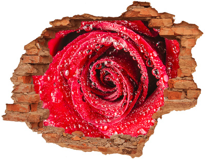 Wandtattoos Loch in der Wand Rose mit Wassertropfen