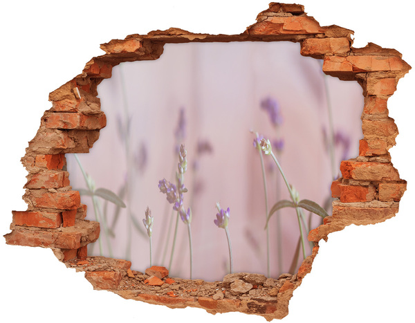 Wandbilder 3D Mauerdurchbruch Blumenwiese hinter der Mauer