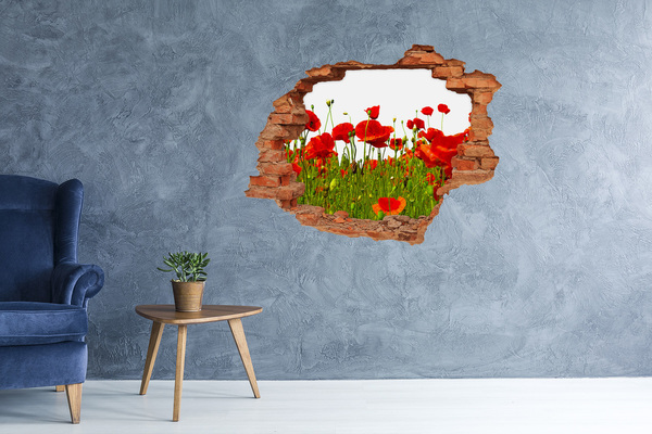 Wandtattoos Loch in der Wand Ein Blumenparadies inmitten der Mohnblumen