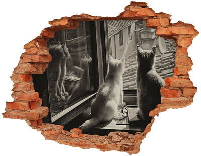3D Loch Aufkleber Katzen am Fenster
