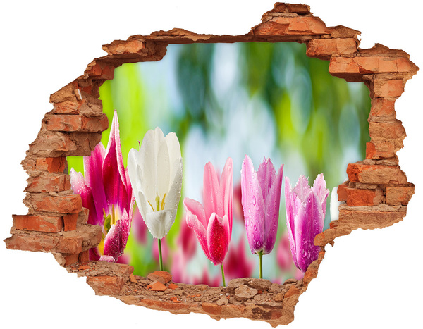 Wandtattoos Loch Ein Blumenparadies hinter der Mauer
