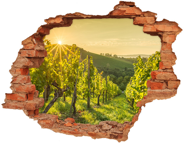 Wandbilder 3D Mauerdurchbruch Weinberge in der Sonne