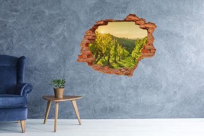 Wandbilder 3D Mauerdurchbruch Weinberge in der Sonne