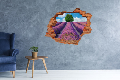 3D Loch Aufkleber Lavendelfeld hinter der Mauer