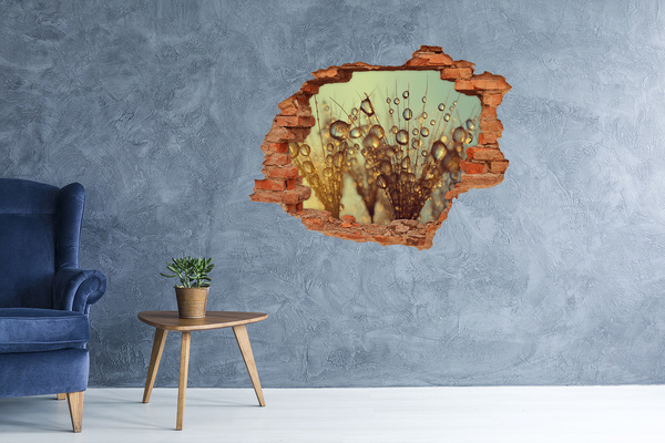 Wandtattoos Loch Tropfen auf empfindlichem Haar