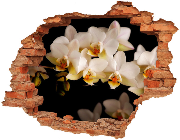 Wandbilder 3D Mauerdurchbruch Orchideenblüten in den Ruinen