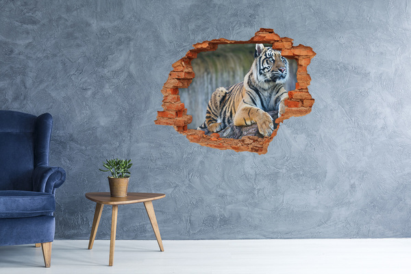 Wandtattoos 3D Optik Loch Tiger in freier Wildbahn