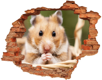 3D Loch Aufkleber Hamster in einem durchsichtigen Loch in der Wand