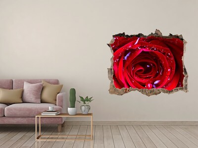 3D Wandtattoos Loch in der Wand Blumenillusion aus Beton