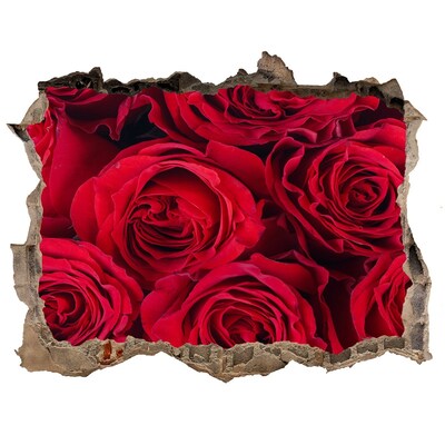 Wandfolien Loch in der Wand Rosen in einer verfallenen Mauer