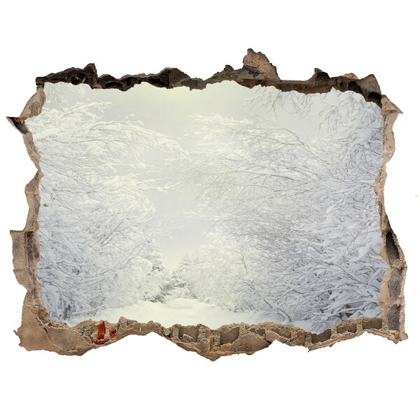 3D Wandsticker Loch Winterlandschaft hinter der Mauer