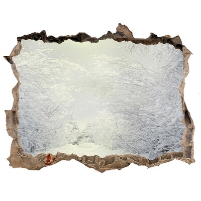 3D Wandsticker Loch Winterlandschaft hinter der Mauer