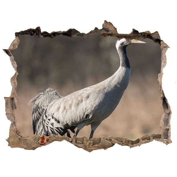 Wandtattoos Mauerdurchbruch Kranich in seinem natürlichen Lebensraum