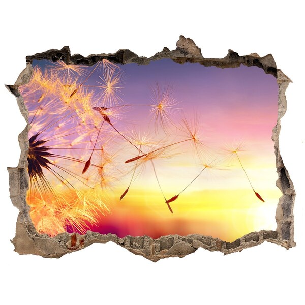 3D Wandtattoos Loch in der Wand Blumenträume bei Sonnenuntergang