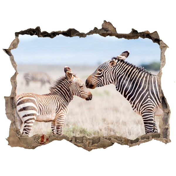 Wandtattoos Loch Zebras in freier Wildbahn