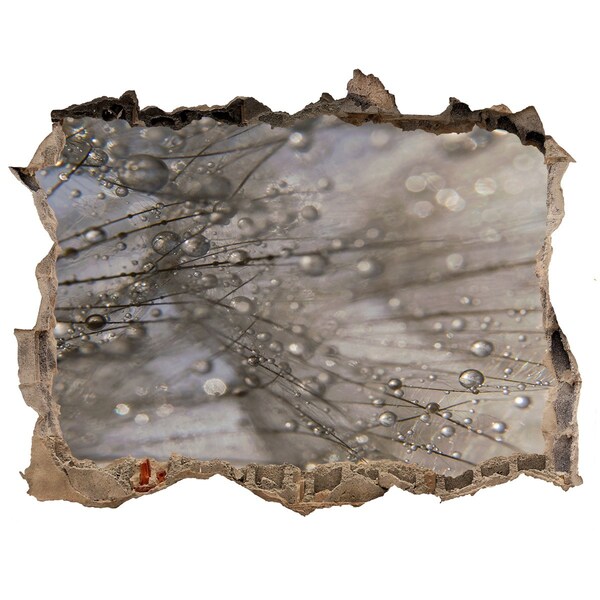 3D Wandsticker Loch Wassertropfen auf Glas