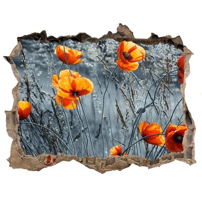 3D Wandsticker Loch Blumen in einem Loch in der Wand