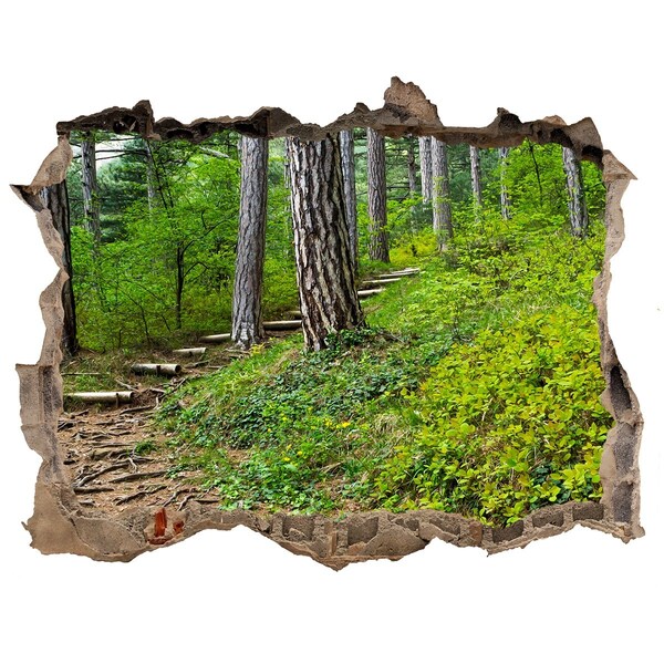 3D Wandsticker Loch Waldweg durch die Wand