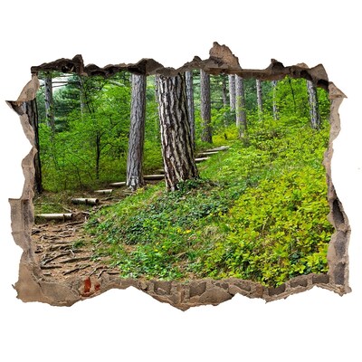 3D Wandsticker Loch Waldweg durch die Wand