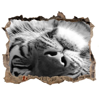 3D Wandsticker Loch Das Gesicht des Tigers