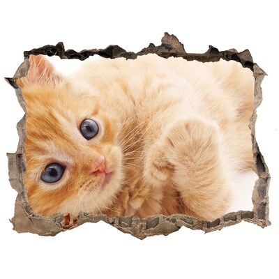 Wandtattoos Mauerdurchbruch Katze in einem Loch in der Wand