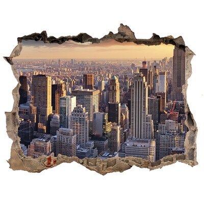 3D Wandtattoos Loch in der Wand Blick auf New York