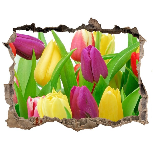 Wandfolien Loch in der Wand Ein Blumenparadies mit Tulpen
