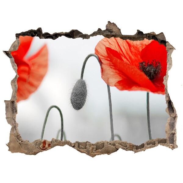 Wandtattoos Loch Blumen in einem Loch in der Wand