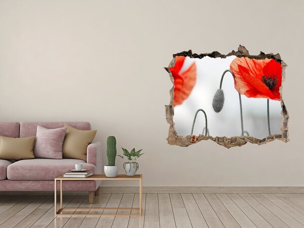 Wandtattoos Loch Blumen in einem Loch in der Wand