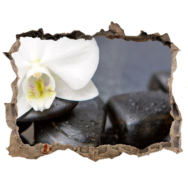 3D Wandsticker Loch Blumen und Steine ​​im Spa