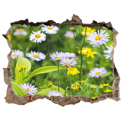 Wandtattoos Loch Ein Blumenparadies hinter der Mauer